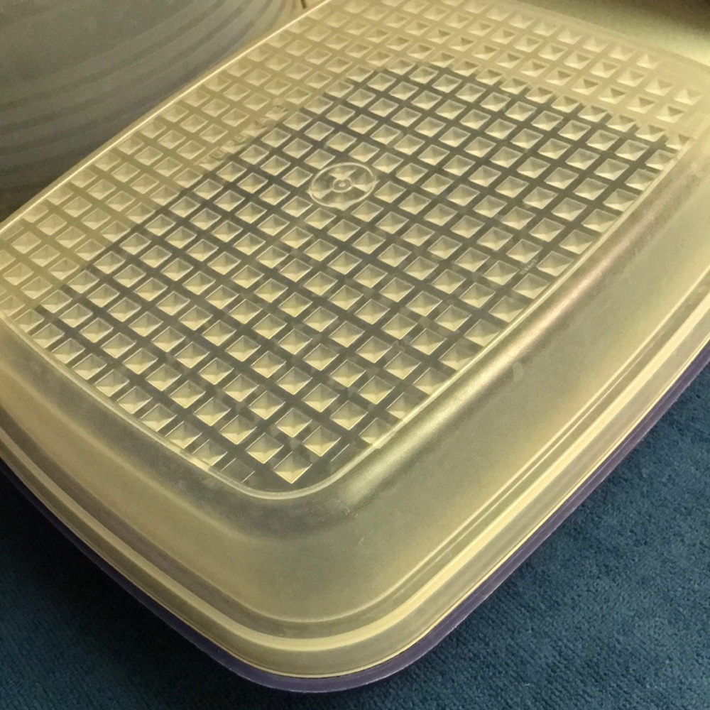 Vintage Tupperware large season serve marinade container